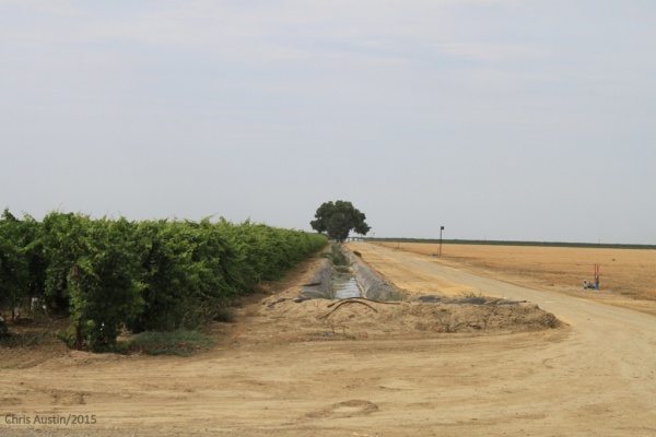 1_planted-and-unplanted