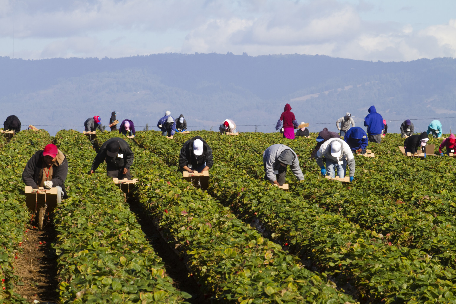 Farmers_HuffPost